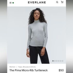 Everlane Pima Heather Gray Turtleneck Top